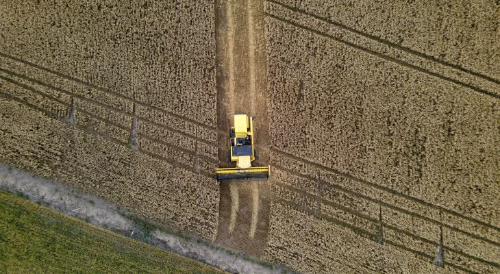 Paraná terá maior crescimento da produção agrícola entre estados do Sul e Sudeste em 2025