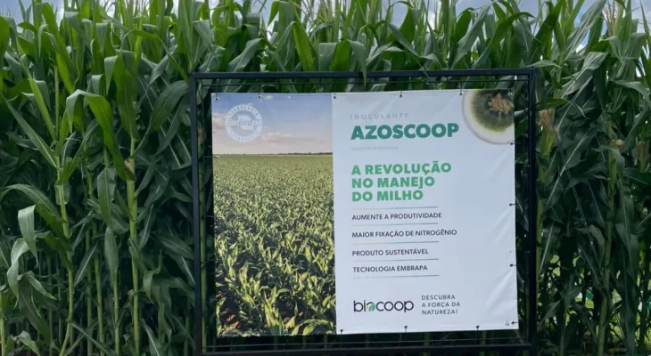 Novo inoculante para milho promete revolucionar a produtividade com sustentabilidade