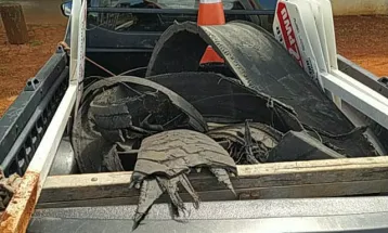 DER/PR alerta para riscos do descarte irregular de lixo em rodovias estaduais