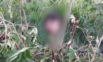 Decapitado: Polícia Federal investiga assassinato brutal de indígena em Guaíra