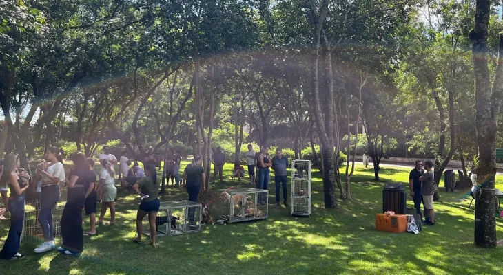 Corbélia: Secretaria de Meio Ambiente realiza 1ª Feira de Adoção e garante novos lares para os animais