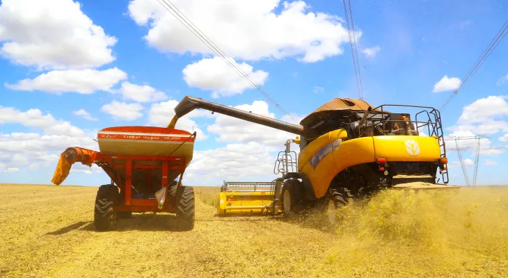 Capacidade de armazenagem cobre apenas 61,7% da supersafra e preocupa agronegócio