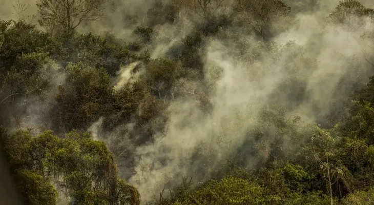 Crise climática pode provocar nova extinção em massa, diz pesquisador