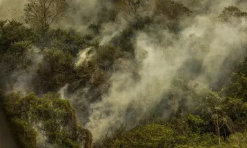 Crise climática pode provocar nova extinção em massa, diz pesquisador