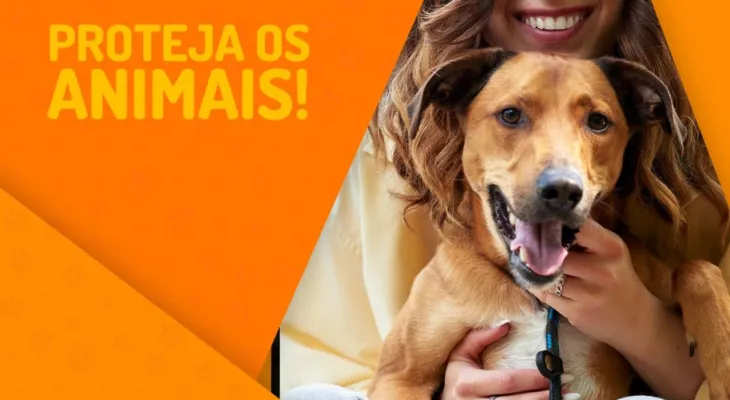 Abril Laranja convoca a sociedade para proteger os animais