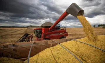 Após primeiras colheitas, Conab confirma estimativa de safra recorde