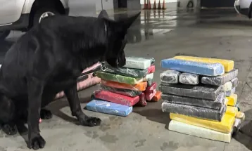 Cães farejadores do BPRv apreendem quase 40 kg de maconha em ônibus