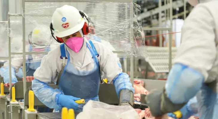 Carne suína, de frango e automóveis: exportações do Paraná saltam em 2025