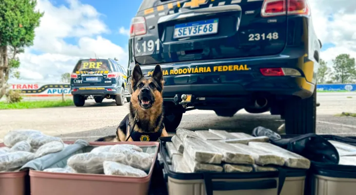 PRF apreende mais de 120 quilos de drogas em táxi na BR-277, em Balsa Nova