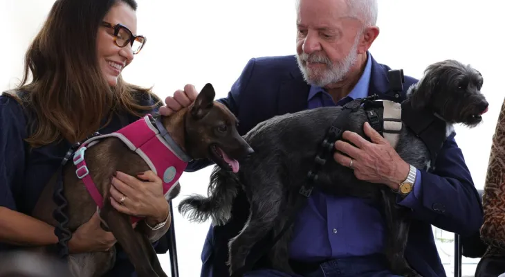 Lula lança programa de identificação e proteção de cães e gatos