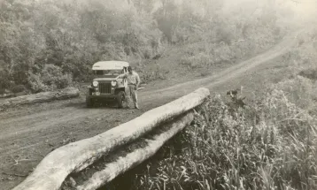 Museu da Imagem e do Som Xico Tebaldi completa 37 anos preservando a memória de Cascavel