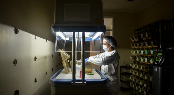 Terapia gênica avança no Brasil e traz novas possibilidades de tratamento para pacientes com doenças raras