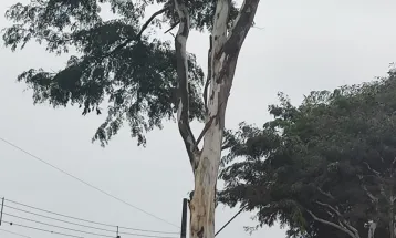 Domingo chuvoso e de temperaturas agradáveis no Paraná