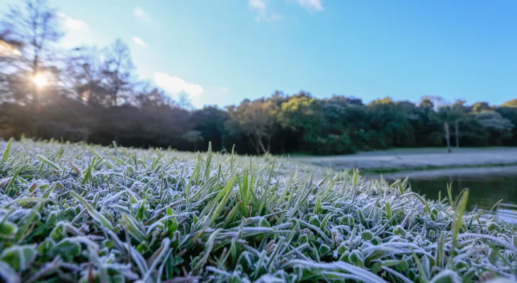 Frio predomina no Paraná nesta quarta; Simepar prevê possibilidade de geada para quinta-feira