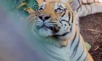 Zoológico de Cascavel abre os portões para visitação no recesso de Dia do Trabalhador