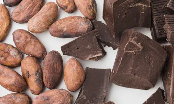 Nova lei define percentual mínimo de cacau nos chocolates