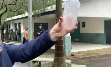 Método Wolbachia: Londrina e Foz do Iguaçu vão ampliar projeto para 100% do território