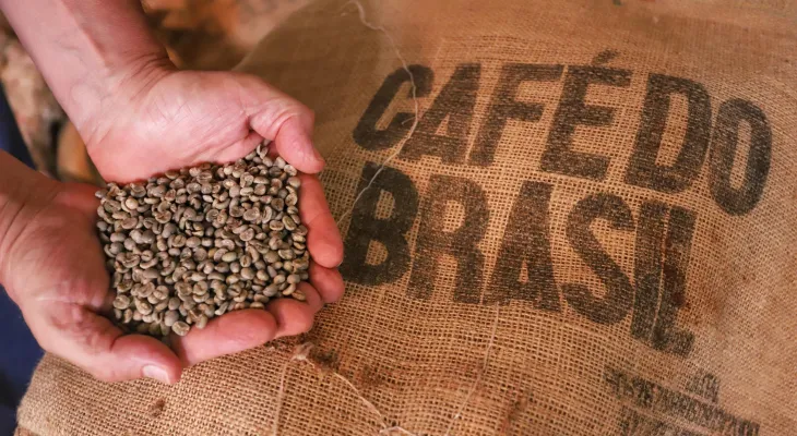 Preço do café deve continuar subindo 