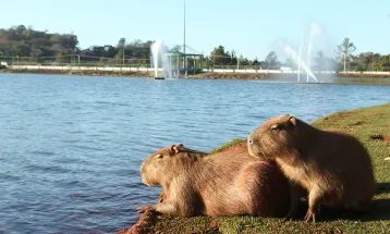 Frio marca o início da semana em Cascavel