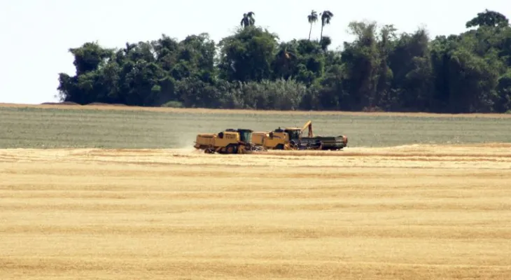 Paraná lidera alta dos investimentos no Brasil no primeiro semestre