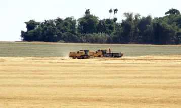 Paraná lidera alta dos investimentos no Brasil no primeiro semestre
