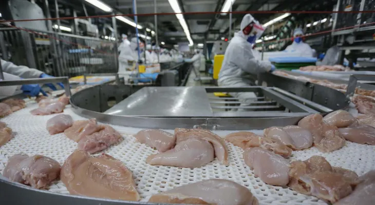 US$ 1,56 bilhão: exportação de carne do Paraná cresce 20,8% nos primeiros meses de 2025