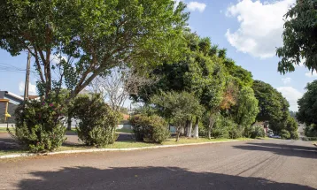 MPPR obtém decisão judicial liminar proibindo corte de árvores pela Prefeitura de Cascavel