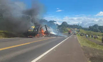 Tio e sobrinho morrem em batida entre caminhões na BR-373, em Imbituva