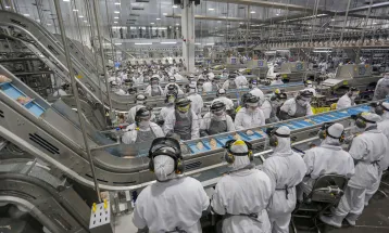 Número de pessoas que buscam emprego há mais de 2 anos atinge menor nível da história