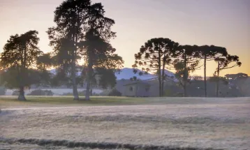 Paraná registra geada e temperaturas negativas; chuva avança sobre o Estado nesta sexta-feira