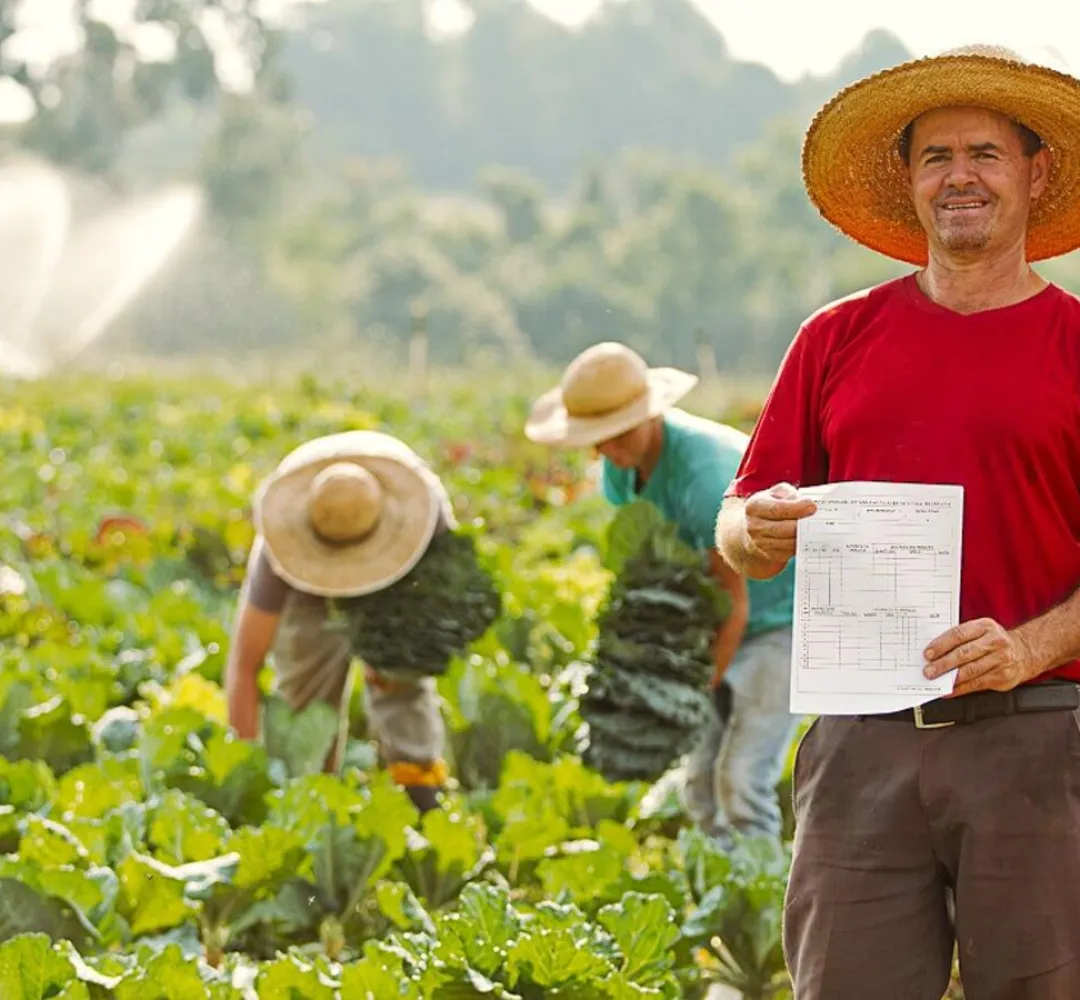 ITR 2026: prazo para declaração de imposto rural termina nesta quarta-feira