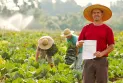 ITR 2026: prazo para declaração de imposto rural termina nesta quarta-feira