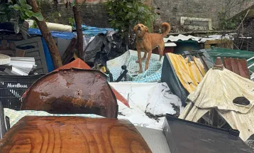 Projeto de lei quer obrigar agressor a bancar todo o tratamento de animal vítima de maus-tratos