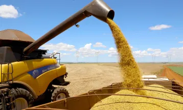Venda de soja impulsionou a balança comercial do Paraná no primeiro quadrimestre