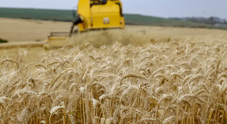 Endividamento de R$ 10,8 bilhões preocupa produtores rurais do Paraná