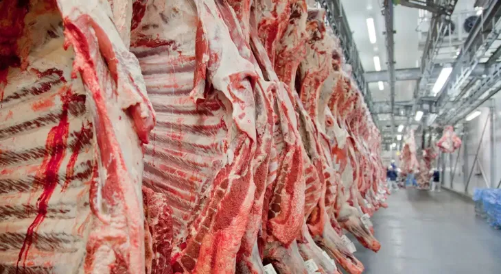 Veto europeu a carnes brasileiras ameaça exportações do Paraná