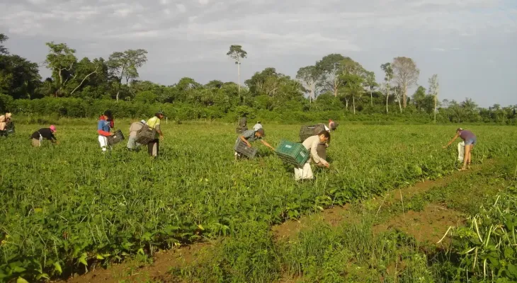 MP da renegociação das dívidas rurais alivia crise no campo, mas deixa produtores de fora, diz Sistema FAEP