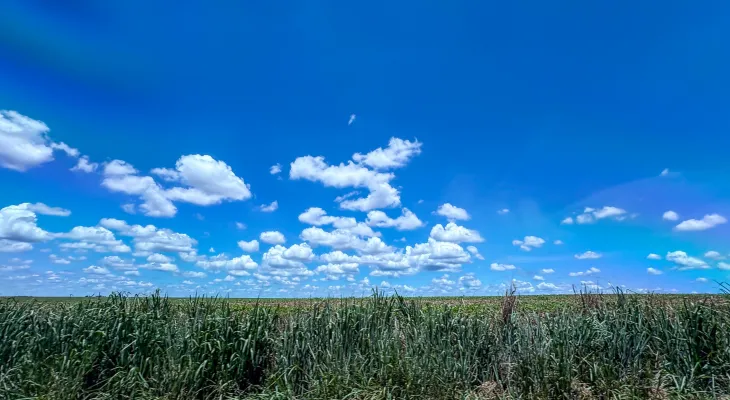 Mudanças climáticas já afetam 85% dos brasileiros, diz pesquisa