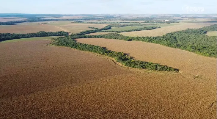 Sistema FAEP contesta metodologia da Seab para cálculo do Valor da Terra Nua no Paraná