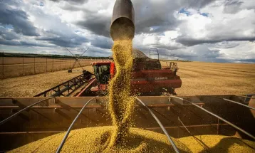 IBGE prevê safra recorde de 346 milhões de toneladas em 2025