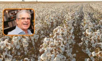 Estado de Mato Grosso pede falência do grupo do 