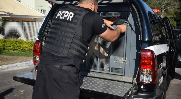 Polícia Civil prende casal suspeito de desviar R$ 600 mil por meio de golpes em Guarapuava