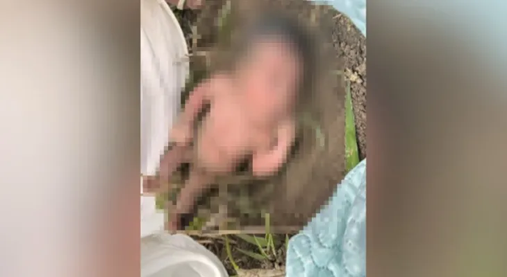 Recém-nascida é encontrada atrás de formigueiro em área rural