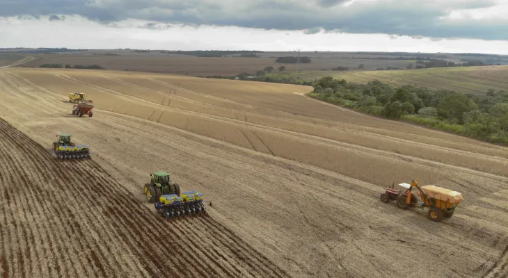 Soja começa a ser plantada no Paraná sob ameaça de El Niño muito forte