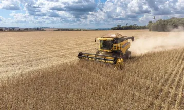 PIB cresce 0,5% no segundo trimestre, com agropecuária em alta