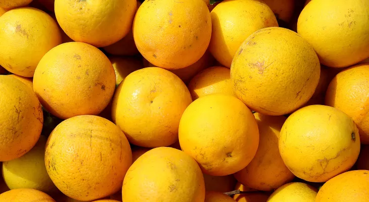Agronegócio do Paraná começa 2026 com alimentos mais baratos e recordes nas exportações