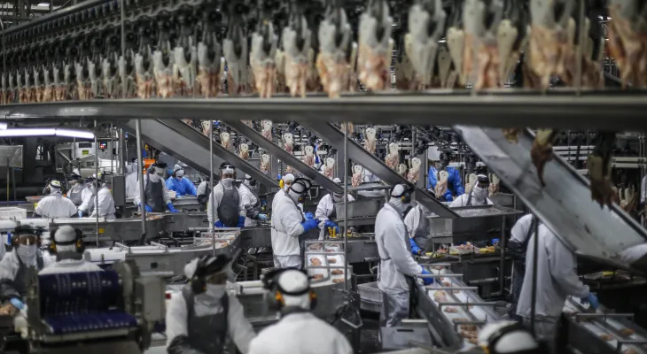 Paraná exportou frango para 150 mercados internacionais em 2025, maior patamar do País