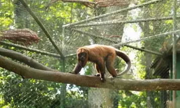 Prefeitura abre licitação para revitalizar entorno do Zoológico de Cascavel