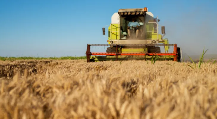 Seguro rural perde força no Paraná e acende alerta sobre endividamento no campo