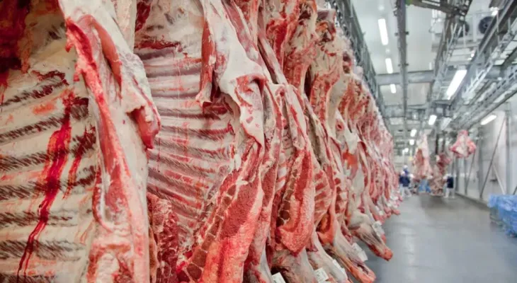 Brasil está proibido de exportar carne para União Europeia a partir de setembro